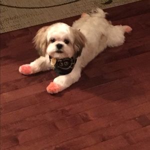 Meet your Posher, India